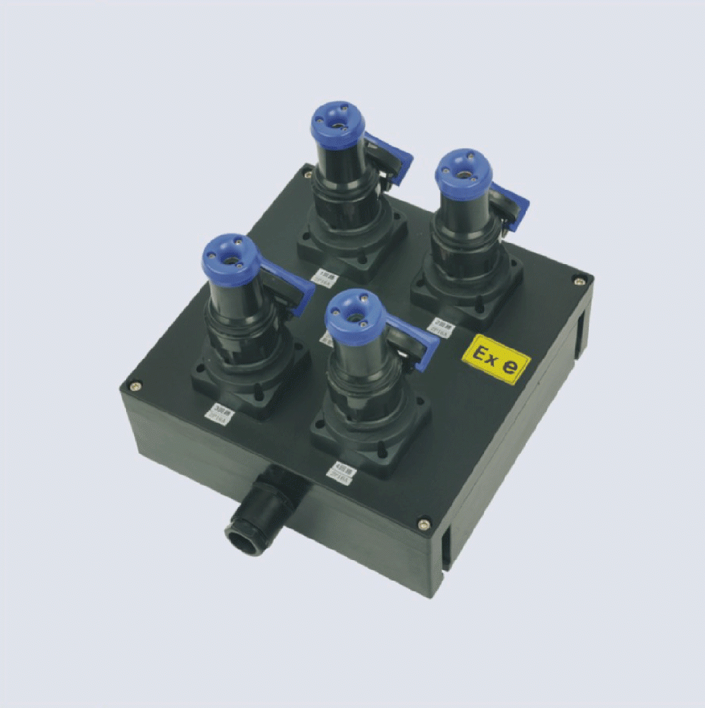 BXX8050-系列防爆防腐检修电源插座箱(IIC、 ExtD)