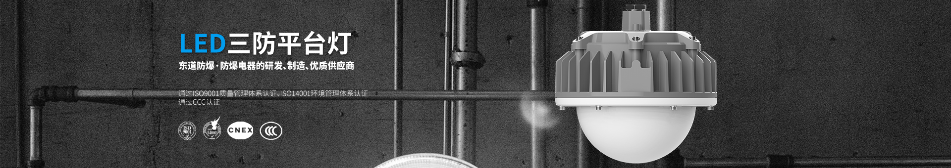 LED三防平台灯类