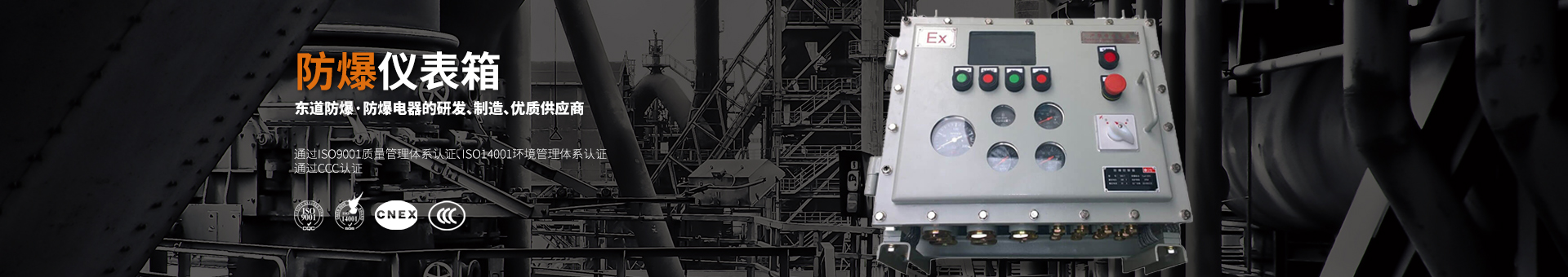 防爆仪表箱